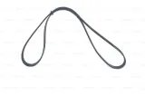 pasek-micro-v-5pk1195-bosch-numer-katalogowy-oryginalu-austin-gfb-1205-austin-gmb-51202-chrysler-46510-593-citroen-5750-d1-mega-gmb-51202-mega-pqs-101180-peugeot-5750-d1-rover-gfb-91205-rover-gmb-51205-toyota-90916-02203-toyota-99365-21210-toyota-99365-51210
