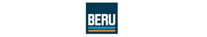 swieca-zarowa-borgwarner-beru