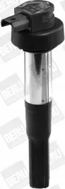 cewka-zaplonowa-borgwarner-beru
