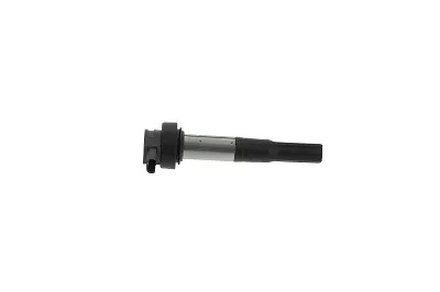 cewka-zaplonowa-borgwarner-beru