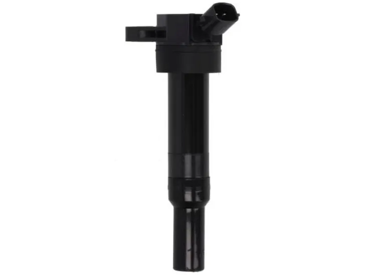 cewka-zaplonowa-delphi