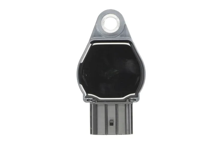 cewka-zapl-smart-forfour-11-04-delphi-wersja-europejska