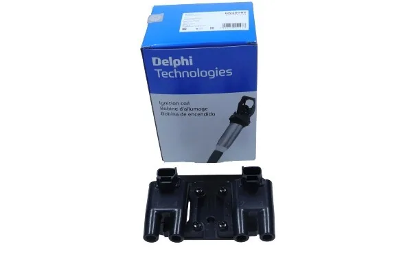 cewka-zapl-delphi-waga-z-opakowaniem-2-kg