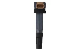 cewka-zaplonowa-suzuki-swift-iv-1-2-10-delphi