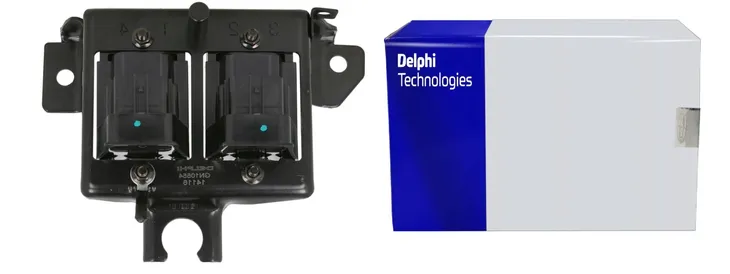 cewka-zaplonowa-delphi