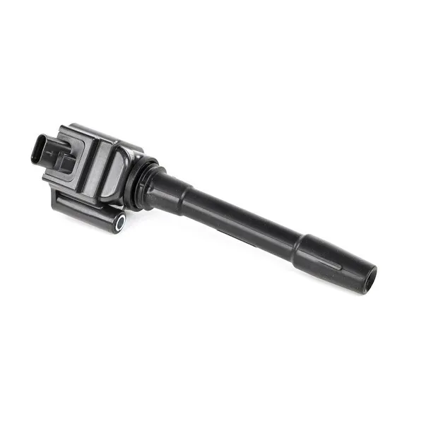 cewka-zaplonowa-delphi-numery-katalogowe-zamiennikow-autoteam-l530621-efi-automotive-155543-eps-1-970-651-facet-9-6551-fispa-85-30621-hitachi-133798-hitachi-2503798-hoffer-8010856-kw-470-651-meat-and-doria-10856-metzger-0880571-mobiletron-ce-246-ngk-49611-sidat-85-30621-wilmink-group-wg2263128