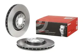 tarcza-ham-przod-321x30-v-brembo