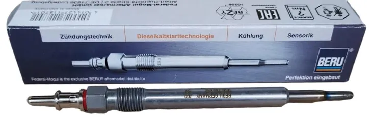 swieca-zarowa-borgwarner-beru-napiecie-5-v