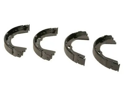 szczeki-ham-brembo-stan-nowy
