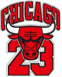 naprasowanka-aplikacja-termo-naklejka-na-odziez-chicago-bulls-nba-3