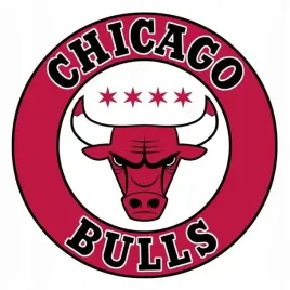 naprasowanka-aplikacja-termo-naklejka-na-odziez-chicago-bulls-nba-2