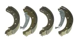 szczeki-ham-brembo
