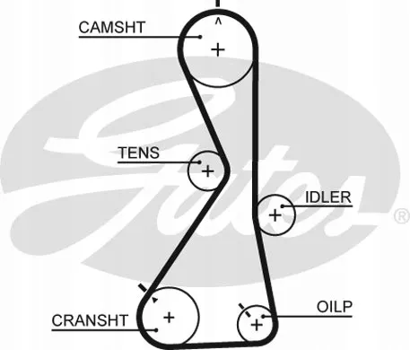 pasek-rozrzadu-gates-typ-samochodu-samochody-dostawcze-samochody-osobowe