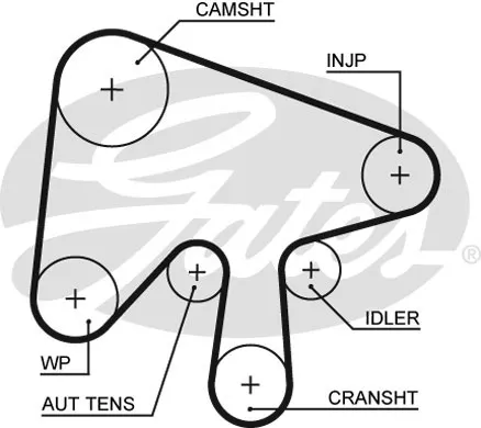 pasek-rozrzadu-gates-typ-samochodu-samochody-dostawcze-samochody-osobowe