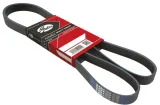 pasek-w-klinowy-gates-numery-katalogowe-zamiennikow-continental-ctam-6pk1124-elast-dayco-6pk1124ee-litens-lv6pk1125-lynxauto-6pk1124el-optibelt-6-epk-1125-quinton-hazell-qbr61124e-schaeffler-ina-fb-6epk1124-triscan-8640-601124sf-wilmink-group-wg2173718