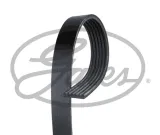 pasek-w-klinowy-gates-numer-katalogowy-oryginalu-citroen-98035805-citroen-9803580580-ds-9803580580-fiat-1313020080-fiat-71749428-general-motors-3641388-land-rover-lpla8620cb-land-rover-lr125251-mazda-pe08-15-909b-mazda-pe08-15-909c-opel-3641388-peugeot-98035805-peugeot-98-035-805-80-porsche-95810225110-toyota-9004a-91064-toyota-su001-a4939-vauxhall-3641388-vw-06e903137s