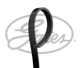 pasek-w-klinowy-gates-jakosc-czesci-zgodnie-z-gvo-q-oryginal-z-logo-producenta-czesci-oem-oes