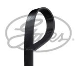 pasek-w-klinowy-hd-gates-stan-nowy