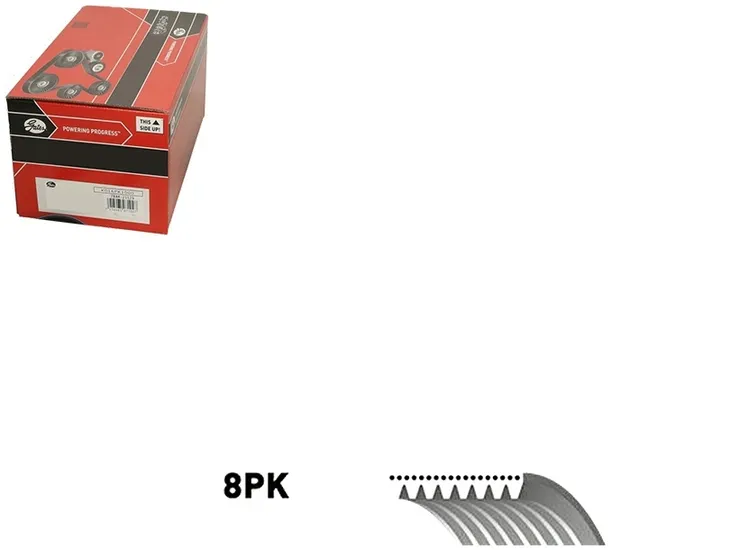 pasek-w-klinowy-gates-numer-katalogowy-oryginalu-mazda-rf5c-15-909a-mazda-rf7j15909