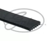 pasek-w-klinowy-gates-waga-z-opakowaniem-0-12-kg