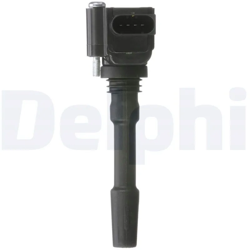 cewka-zaplonowa-delphi