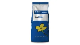 rzepak-ozimy-inv-2020-invigor-hybrydowy-na-3ha-wysokie-plony