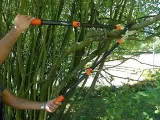 nozyce-reczne-garten-primus-01100-kod-producenta-4260299540083