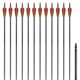 zestaw-strzal-z-wlokna-weglowego-30-076-cm-x12