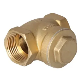 zawor-zwrotny-1-cal-z-klapa-pn16