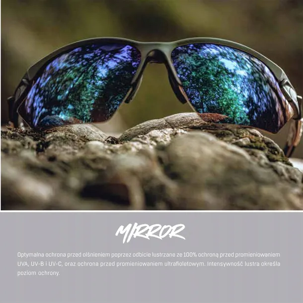 okulary-alpina-defey-model-defey