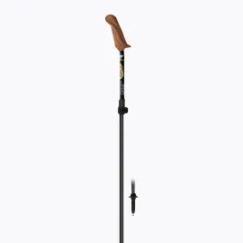 kije-nordic-walking-fizan-walx-pro-117-130-cm
