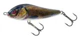 salmo-rn11s-supernatural-tench