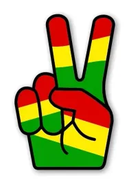 naprasowanka-term-naklejka-odziez-reggae-rasta-5-2