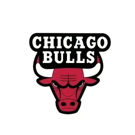naprasowanka-chicago-bulls-logo-naklejka-na-odziez-1