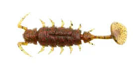 lucky-john-alien-bug-15