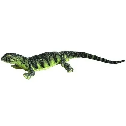 waran-zielony-80cm-dubi