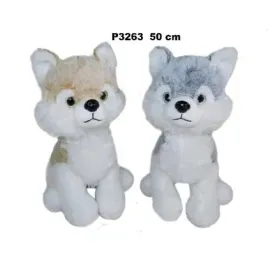 husky-50cm-mix-sun-day