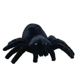 pajak-15cm-beppe