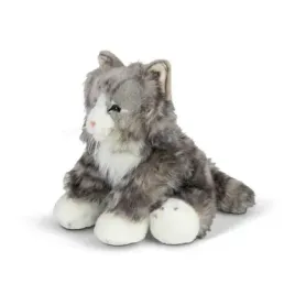 puszysty-kot-one-for-fun