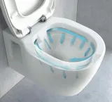 wc-carlo-mini-rimless-flat-poziom-odplywu-poziomy