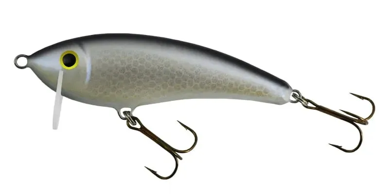 wobler-gloog-hermes-70-np