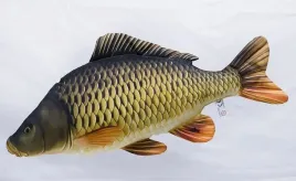 poduszka-gaby-karp-pelnoluski