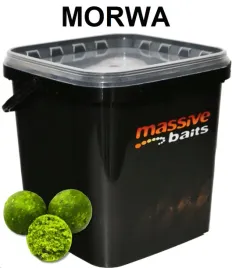 massive-baits-eco-boilies-18mm-mulberry-3-kg