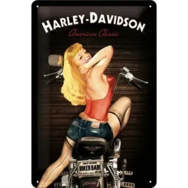 metalowy-plakat-20-x-30cm-harley-davidson