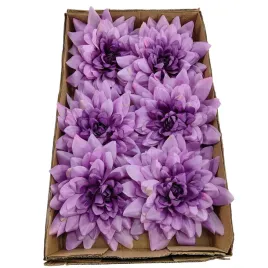 dalia-duza-karton-24-szt-fioletowa