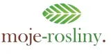 rojnik-bigsam-ruby-star-p12-sadzonka-1l-roslina-w-postaci-sadzonka-w-pojemniku-1-2l-kraj-polska