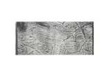 tlo-do-akwarium-100x50-plaskie