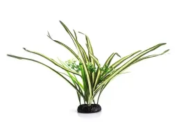 repti-zoo-roslina-sztuczna-dracena-marginata