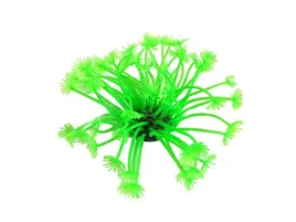 azoo-neon-coral-az27173-gonipora-stohesi-zielony