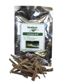 tantora-cattapa-bark-kora-ketapangu-20g
